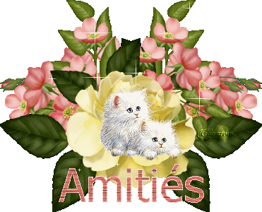 amiti&eacute;s